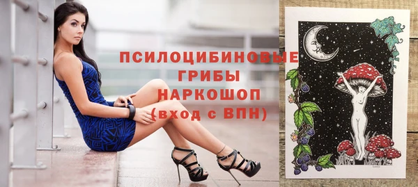 крисы Дмитровск