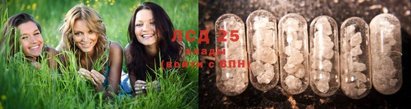 мяу мяу кристалл Дмитриев