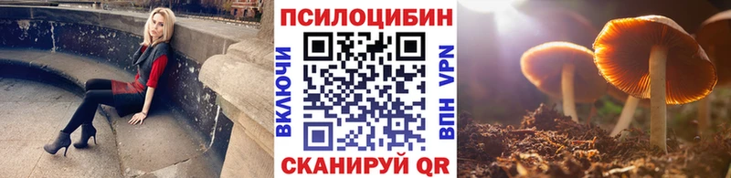 закладки Пучеж Псилоцибиновые грибы ЛСД